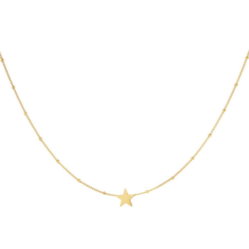 Ketting star gold stainless steel